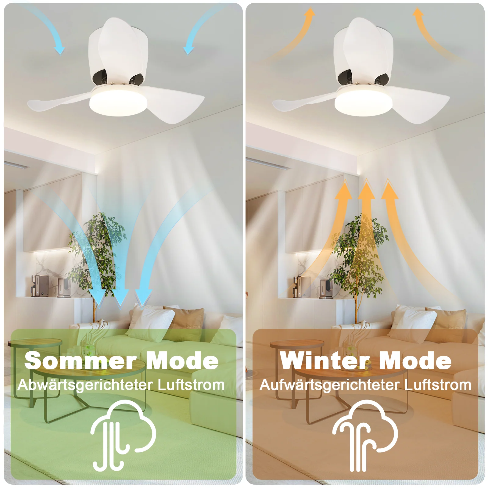 Vorschaubild 6