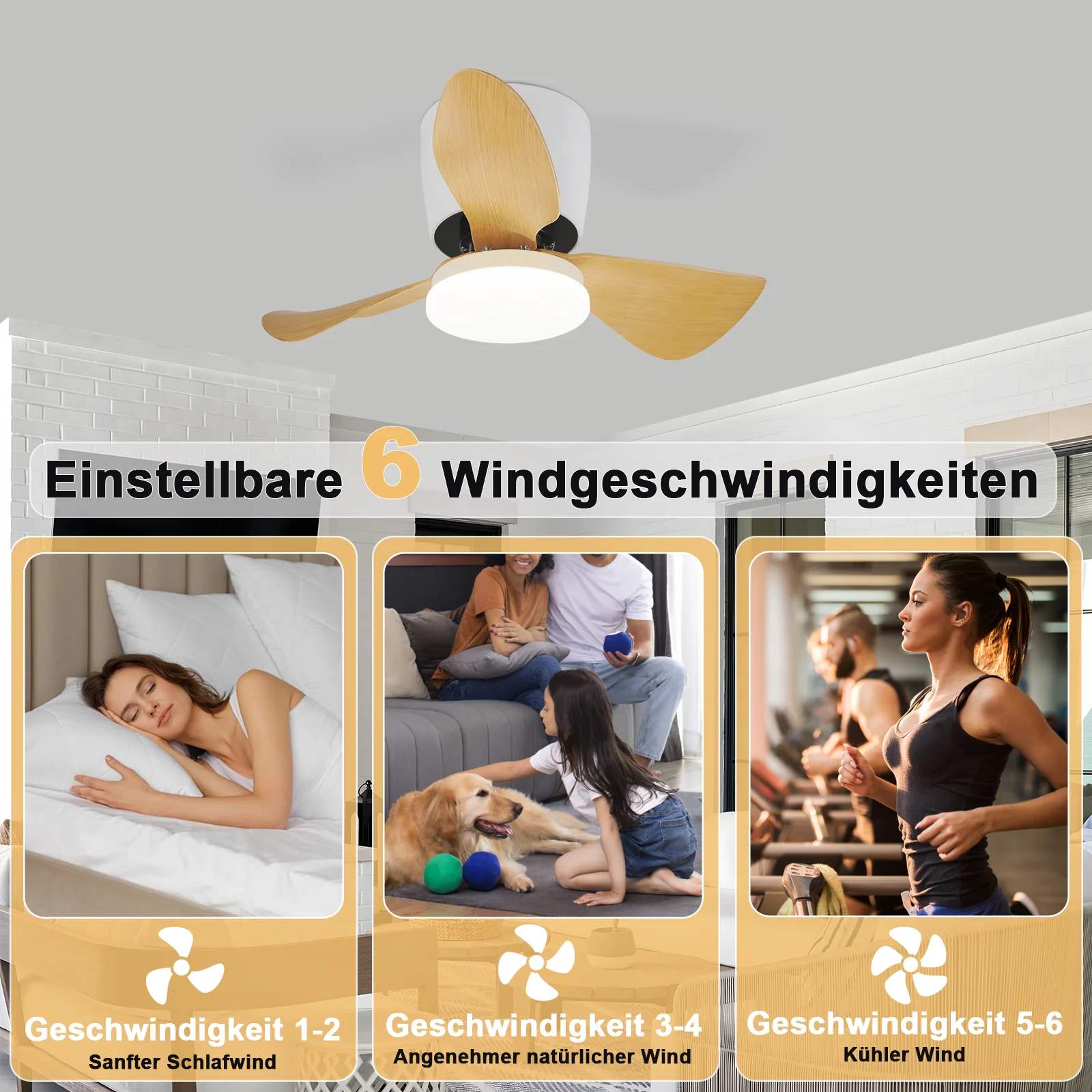 Vorschaubild 4